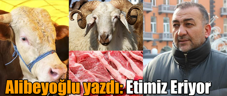 Alican Alibeyoğlu yazdı: Etimiz Eriyor