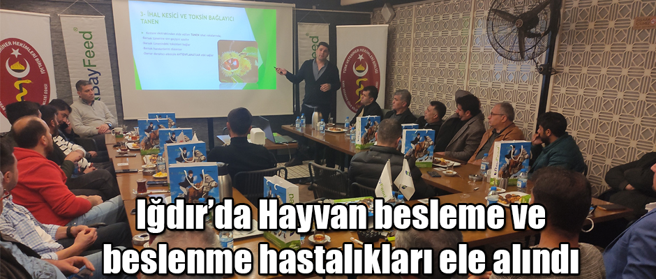 Iğdır’da