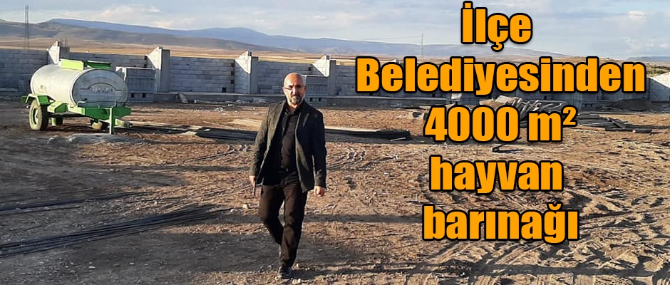 İlçe Belediyesinden 4000 M² Hayvan Barınağı