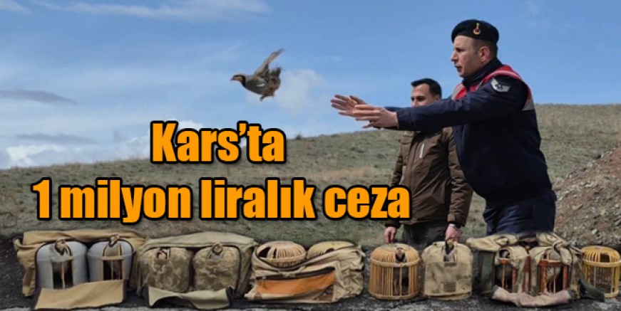 Kars'ta 1 milyon liralık ceza