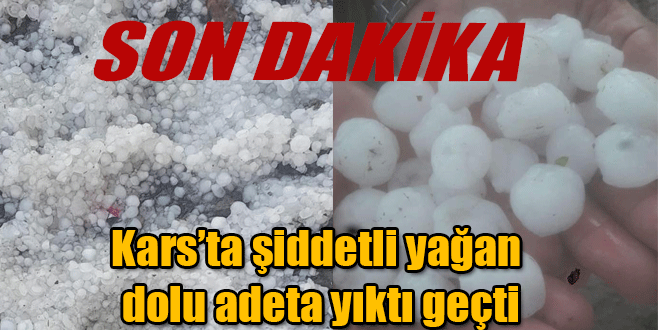 Kars'ta şiddetli yağan dolu adeta yıktı geçti