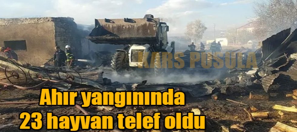 Ardahan’da ahır yangınında 23 hayvan telef oldu