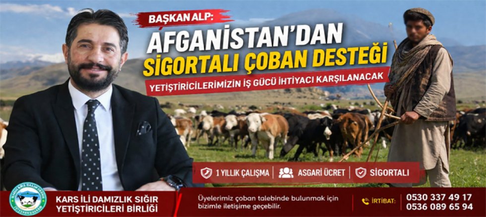 Alp, Afganistan'dan sigortalı çoban desteğiyle yetiştiricilerin iş gücü ihtiyacı karşılanacak