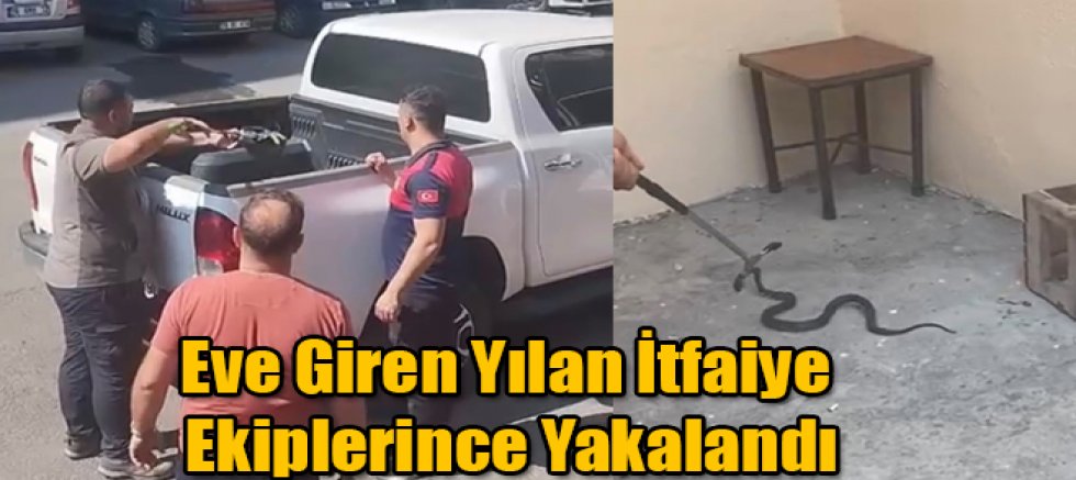 Eve Giren Yılan İtfaiye Ekiplerince Yakalandı