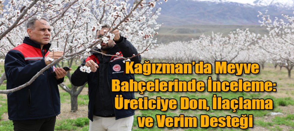 Kağızman’da Meyve Bahçelerinde İnceleme: Üreticiye Don, İlaçlama ve Verim Desteği