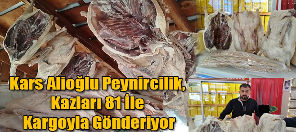 Kars Alioğlu Peynircilik, Kazları 81 İle Kargoyla Gönderiyor