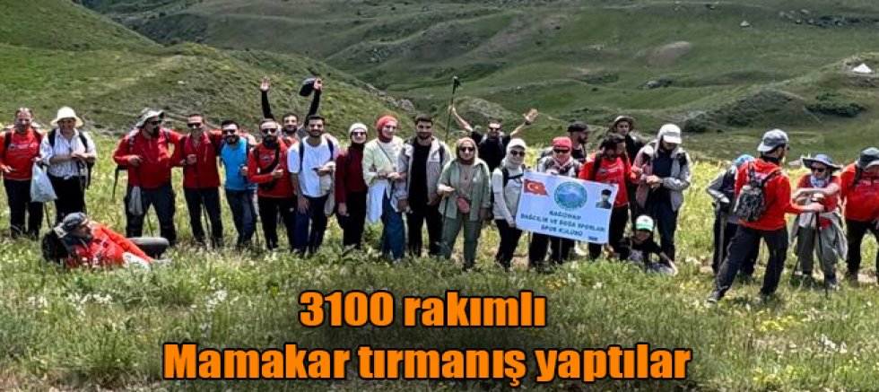 Kars'ın Kağızman İlçesinde 3 bin 100 rakımlı Mamakar'a dağına tırmandılar