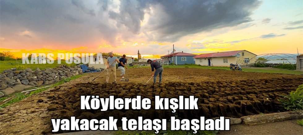 Kars'ın köylerinde kışlık yakacak telaşı başladı