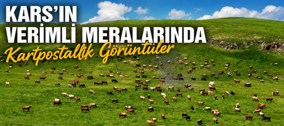 Kars'ın Verimli Meralarında Kartpostallık Görüntüler