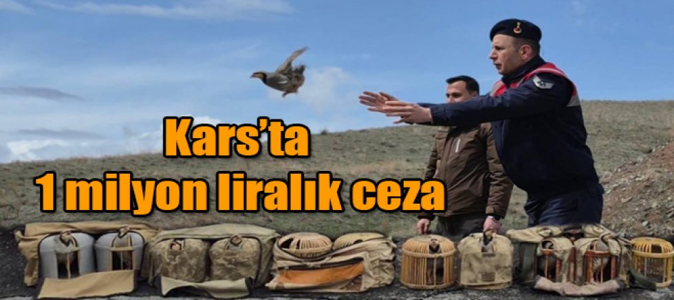 Kars'ta 1 milyon liralık ceza