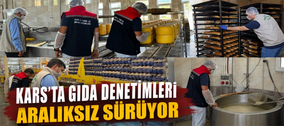 Kars’ta Gıda Denetimleri Aralıksız Sürüyor