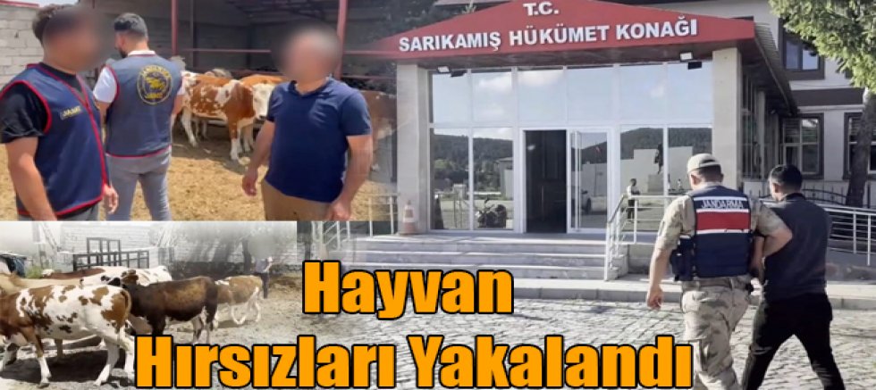 Kars'ta Hayvan Hırsızları Yakalandı