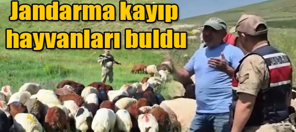Kars'ta İl Jandarma Komutanlığı ekipleri kayıp hayvanları buldu