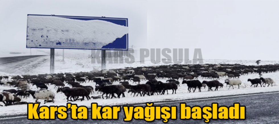 Kars'ta Kar Yağışı Başladı