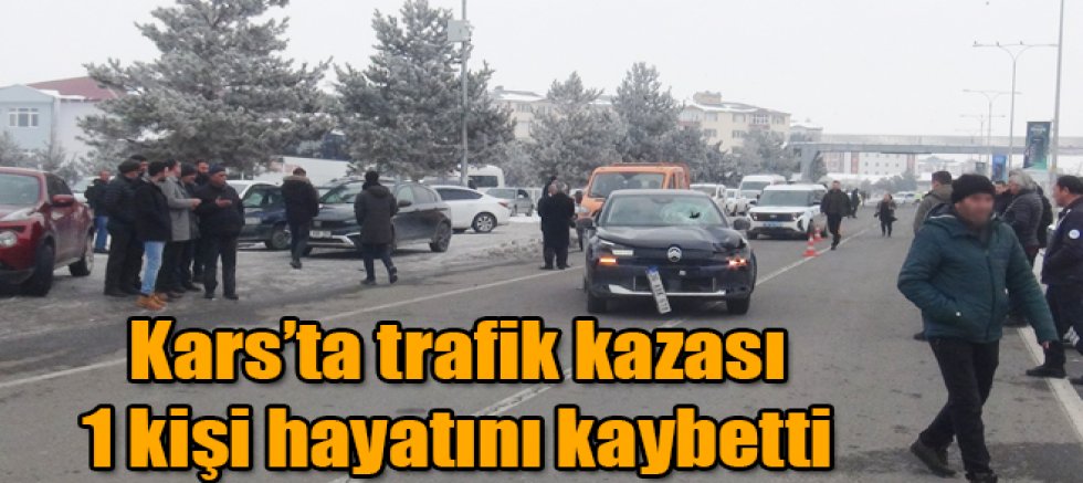 Kars'ta meydana gelen kazada bir kişi hayatını kaybetti