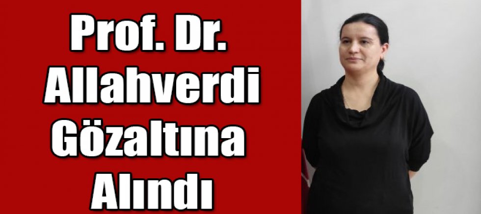 Kars’ta Prof. Dr. Tülay Diken Allahverdi gözaltına alındı