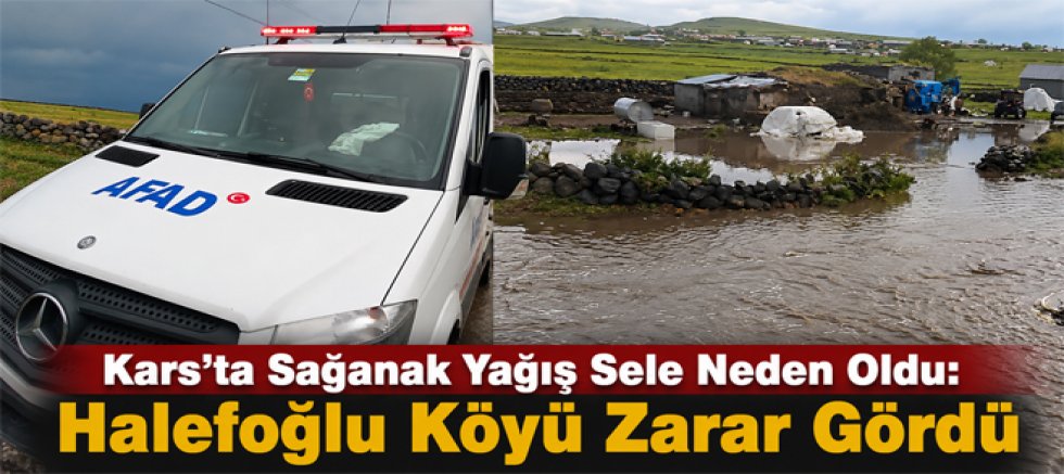 Kars'ta Sağanak Yağış Sele Neden Oldu Halefoğlu Köyü Zarar Gördü