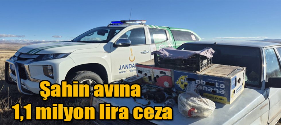 Kars'ta şahin avına 1,1 milyon lira ceza