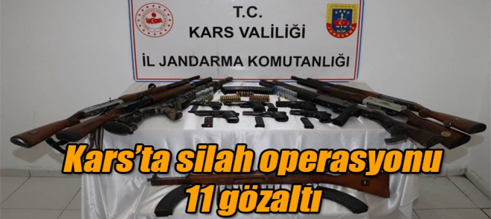 Kars'ta silah operasyonu 11 gözaltı