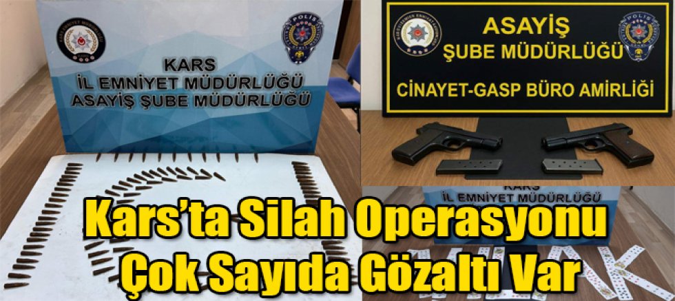 Kars'ta Silah Operasyonu Çok Sayıda Gözaltı Var