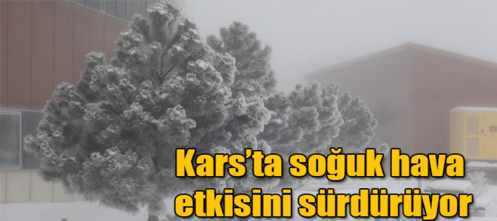 Kars'ta soğuk hava etkisini sürdürüyor