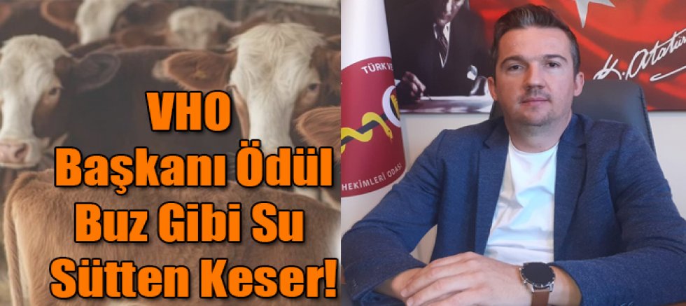 VHO Başkanı Ercan Ödül, Buz Gibi Su Sütten Keser!