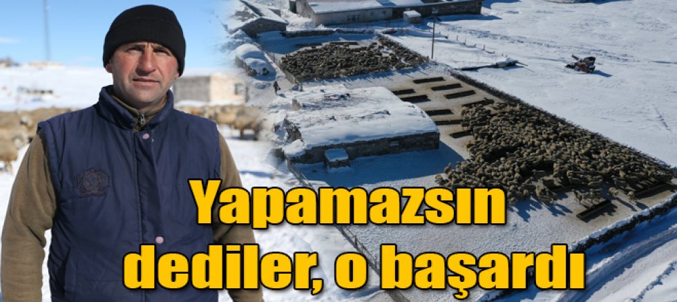 “Yapamazsın” dediler, o başardı Kars’ta 100 koyunluk destek 700 başlık örnek işletmeye dönüştü