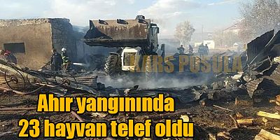 Ardahan’da ahır yangınında 23 hayvan telef oldu