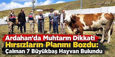 Ardahan’da Muhtarın Dikkati Hırsızların Planını Bozdu Çalınan 7 Büyükbaş Hayvan Bulundu