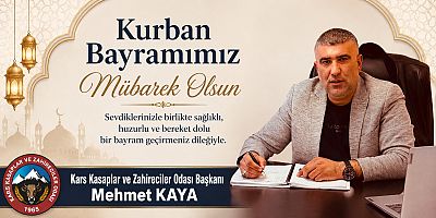 mehmet kaya