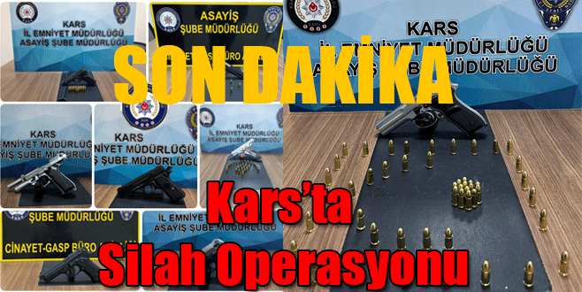 Kars Emniyetinden Silah Operasyonu