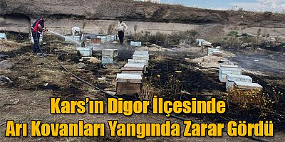 Kars’ın Digor İlçesinde Arı Kovanları Yangında Zarar Gördü