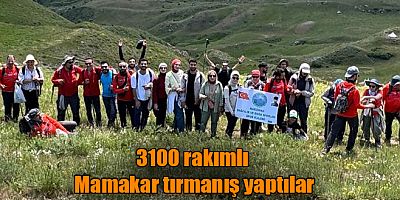 Kars'ın Kağızman İlçesinde 3 bin 100 rakımlı Mamakar'a dağına tırmandılar