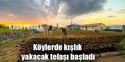 Kars'ın köylerinde kışlık yakacak telaşı başladı