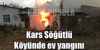 Kars'ın Söğütlü Köyünde Yangın Meydana Geldi