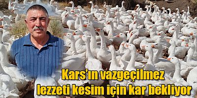 Kars'ın vazgeçilmez lezzeti kesim için kar yağışını bekliyor