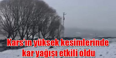 Kars’ın yüksek kesimlerinde kar yağışı etkili oldu