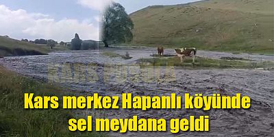Kars merkez Hapanlı köyünde sel meydana geldi