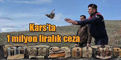 Kars'ta 1 milyon liralık ceza