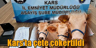 Kars'ta Çete Çökertildi