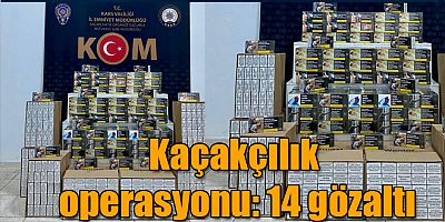 Kars'ta düzenlenen operasyonda 14 şüpheli gözaltına alındı