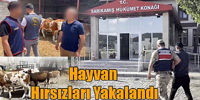 Kars'ta Hayvan Hırsızları Yakalandı