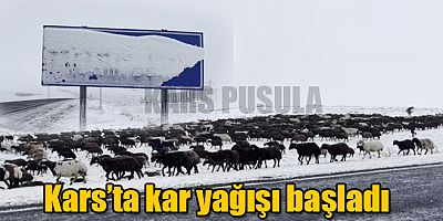 Kars'ta Kar Yağışı Başladı