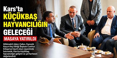 Kars'ta Küçükbaş Hayvancılığın Geleceği Masaya Yatırıldı
