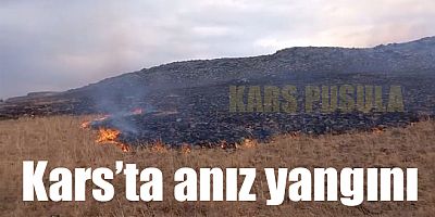 Kars'ta meydana gelen anız yangınında 300 dönüm arazi yandı