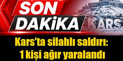 Kars'ta meydana gelen silahlı saldırıda 1 kişi ağır yaralandı