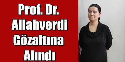 Kars’ta Prof. Dr. Tülay Diken Allahverdi gözaltına alındı