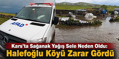 Kars'ta Sağanak Yağış Sele Neden Oldu Halefoğlu Köyü Zarar Gördü