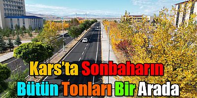 Kars'ta Sonbaharın Bütün Tonları Bir Arada