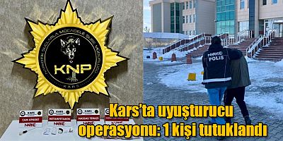 Kars’ta uyuşturucu operasyonu: 1 kişi tutuklandı